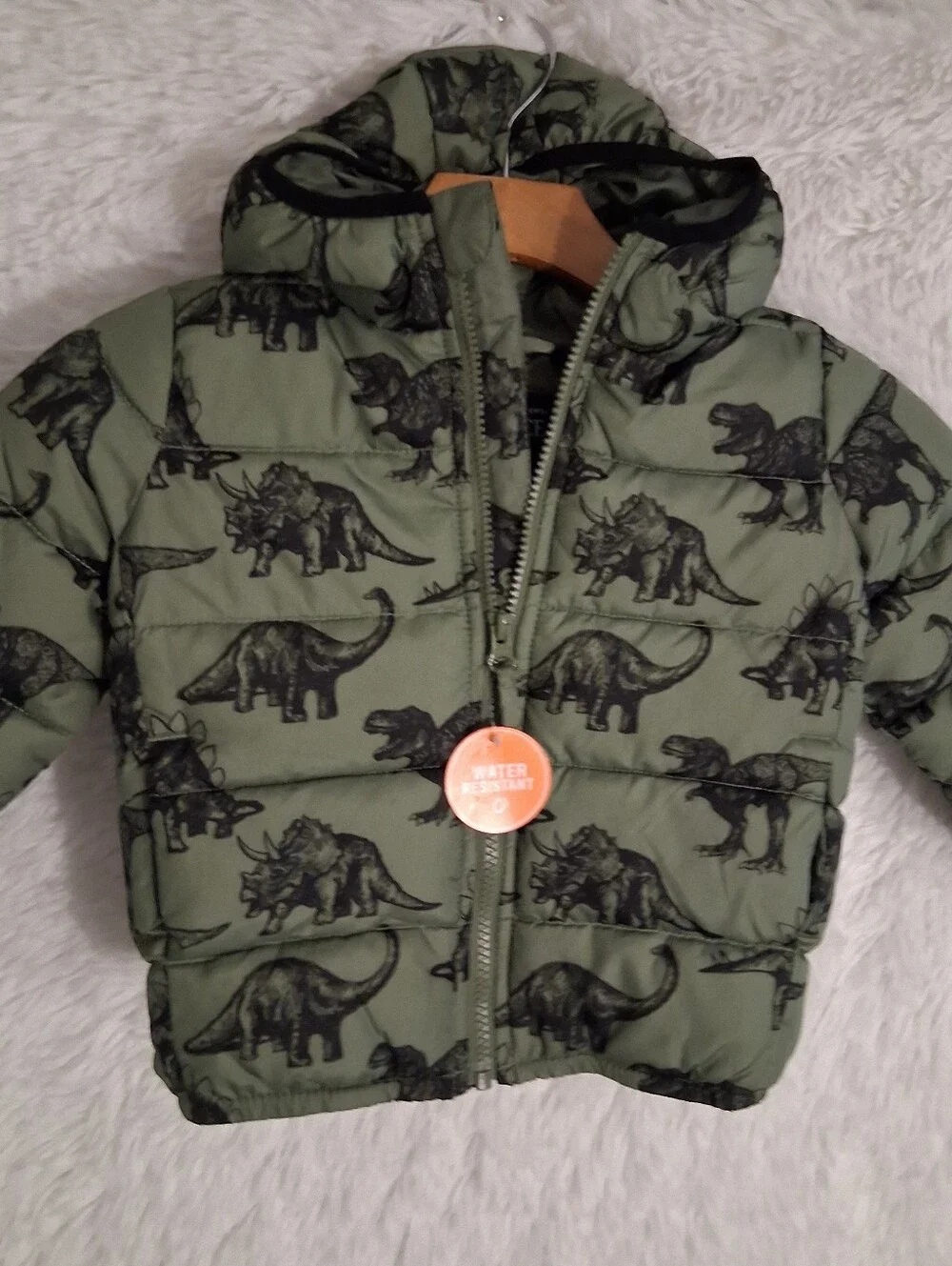 NWT Dinosaur Jacket 2T
